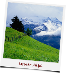 Umer Alps in Switzerland