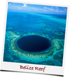 Belieze Reef